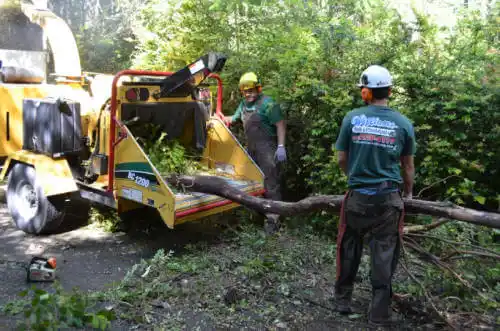 tree services Simsbury Center